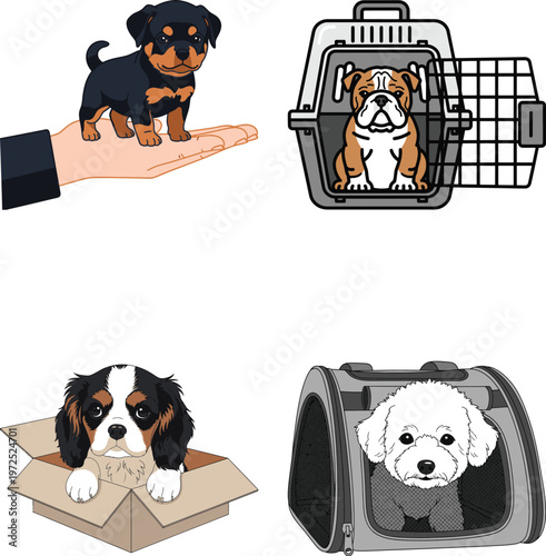 Various puppies in carriers, boxes, and being held
