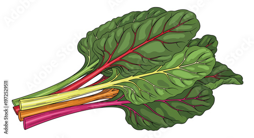 A vibrant bunch of rainbow chard, featuring colorful stems in red, yellow, and orange, with broad green leaves, perfect for cooking or salads.