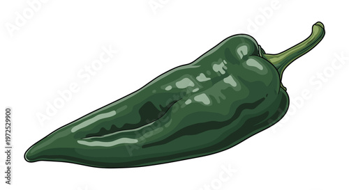 A single, glossy dark green poblano pepper, known for its mild to medium heat and often used in Mexican cuisine, ready for preparation.