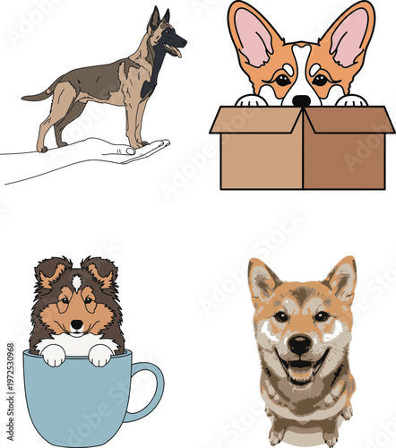 German shepherd and corgi puppy in cardboard box illustration with shiba inu dog