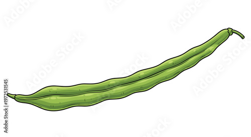 A single long, green string bean, also known as a green bean or snap bean, showcasing its slender and slightly curved form, ready for cooking.