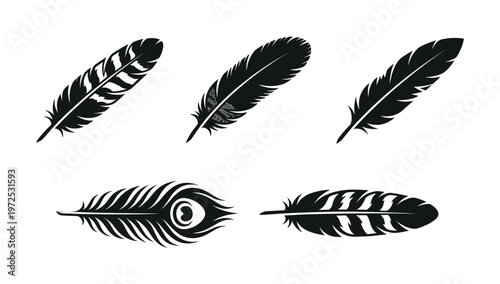A set of five black feather silhouettes. This versatile vector collection includes various bird and peacock feather designs perfect for logos, icons, and elegant branding.