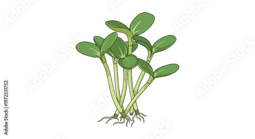 A cluster of young, vibrant green sprouts with small leaves and visible roots, symbolizing new growth and fresh, healthy ingredients.