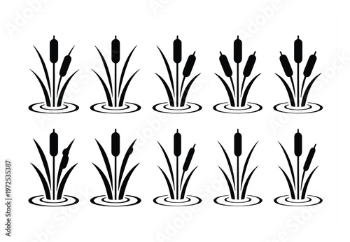 Collection of Black and White Cattail in Water