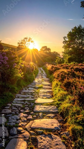 Beautiful Sunset Over Stone Pathway Surrounded by Lush Nature
