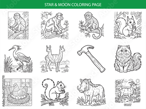 Twelve charming animal and tool coloring page illustrations for children featuring monkeys squirrels llamas and hammers