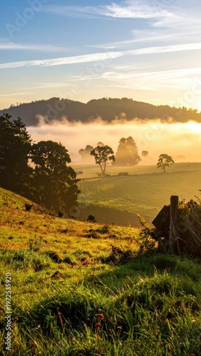 Misty Sunrise Over Rolling Hills and Trees in Golden Light