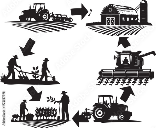 Agricultural Process from Planting to Harvesting Crops
