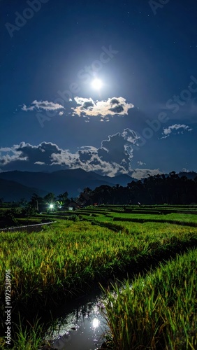 Moonlit Landscape Over Lush Rice Fields Under Starry Night Sky