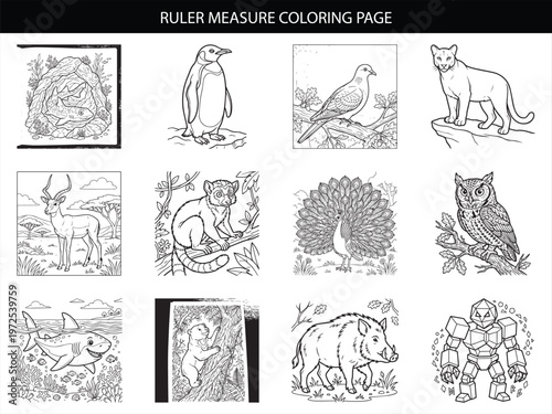 Ruler measure and diverse animal collection for kids coloring page vector illustration set on white background