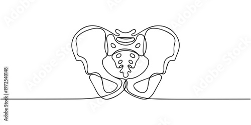 Human pelvic bone 1 continuous one line drawing, Human pelvic bone in continuous one line drawing, tulips 1, Continuous one line drawing of Human pelvis bone. Partial bone in single line illustration
