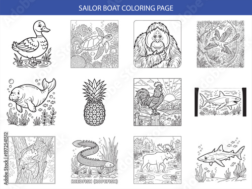 Twelve detailed animal and fruit vector coloring page designs featuring a duck turtle orangutan pineapple and shark