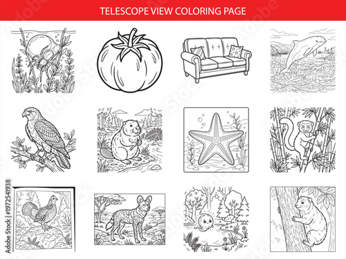 Telescope view coloring page with tomato sofa dolphin hawk beaver starfish monkey grouse African wild dog ghost and groundhog art
