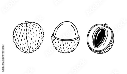 Lychee linear doodle icon set whole and cut litchi minimal outline fruit vector illustration