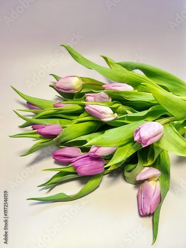 pink tulips, spring flowers, bouquet of cut flowers