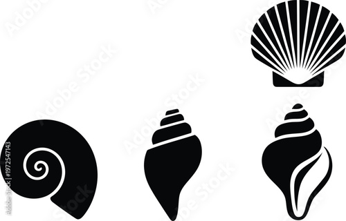 Set of four different seashell silhouettes, collection of marine mollusk shells, vector icons of sea life elements for design