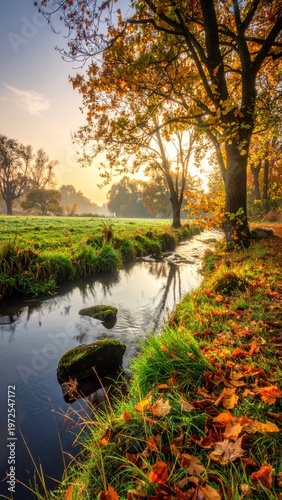 Tranquil Autumn Morning by Stream in Colorful Forest Landscape