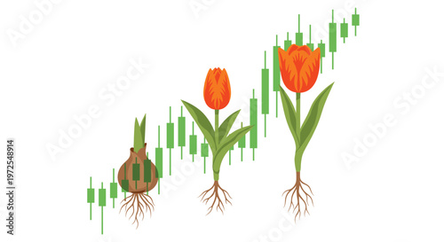 Three distinct stages of tulip development from a brown bulb to a full orange bloom are displayed over a green candlestick financial trading chart in a clean layout.