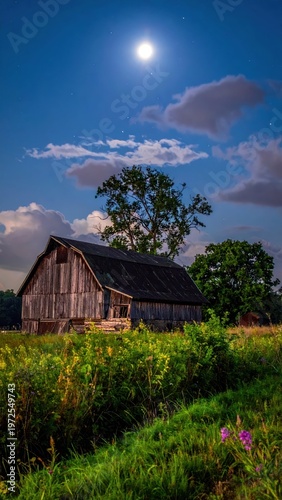 Serene Moonlit Barn Scene with Lush Greenery and Starry Sky