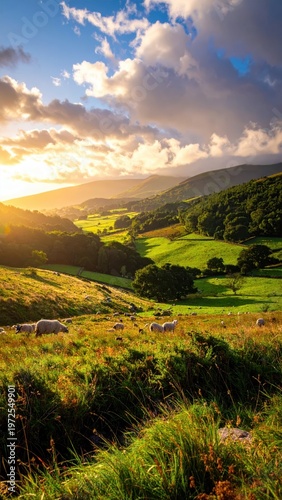 Serene Landscape with Rolling Hills and Sheep at Sunset