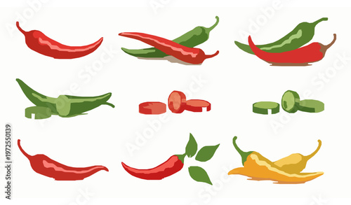 Chili pepper vector set with whole and sliced red green and yellow peppers isolated on white