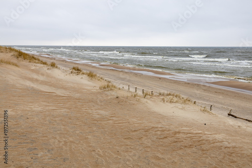 Fine sand from the Baltic Sea