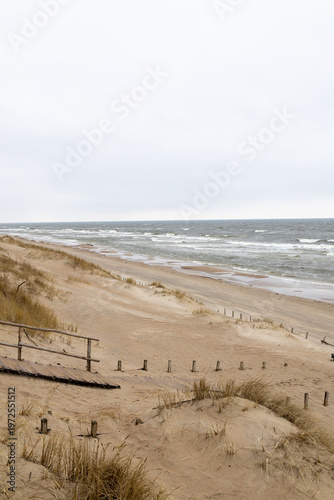 Fine sand from the Baltic Sea