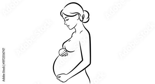 Vector illustration pregnant woman cradling belly in monochrome minimal