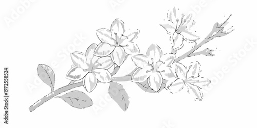 Delicate sketch of blossoming branches with simple floral details