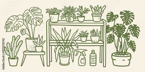 A botanical illustration of potted plants on tiered shelves and stools