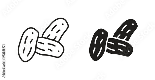 Date fruit icon for web design. icon symbol vector
