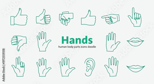 Vector illustration of set of hand gestures and human body parts doodle icons