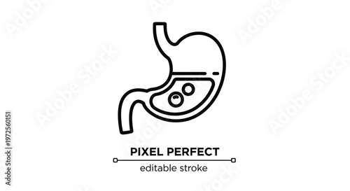Vector illustration of stomach icon with food digestion process