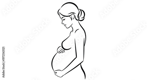Vector illustration pregnant woman cradling belly in monochrome minimal