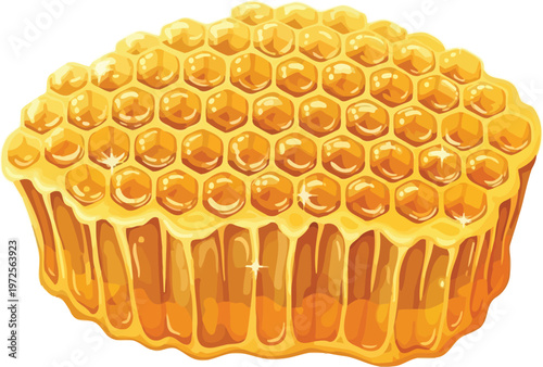 Golden honeycomb section dripping with sweet, viscous honey.
