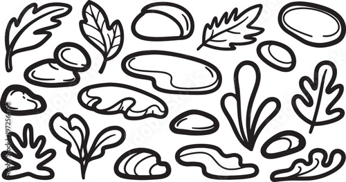 An assortment of hand-drawn natural elements including various leaves and smooth river rocks