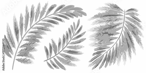 Elegant tropical leaves in grayscale create a botanical arrangement