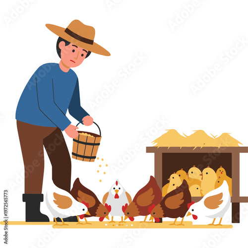 Man feeding chickens and chicks on a farm with a basket