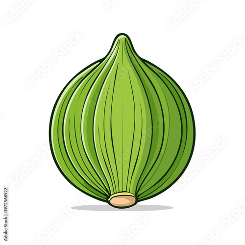 Single Green Unripe Fig Fruit with Stem and Shadow