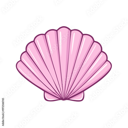 Pink Scallop Shell Illustration Detailed Drawing Minimalist Design