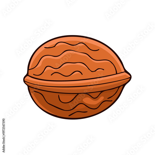 Cartoon illustration of a whole brown walnut with visible texture and a distinct midline