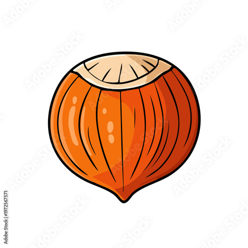 Stylized illustration of a whole hazelnut with its shell intact and a portion of the inner nut visible