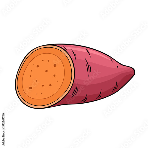 Illustration of a sweet potato cut in half revealing its vibrant orange flesh and textured skin