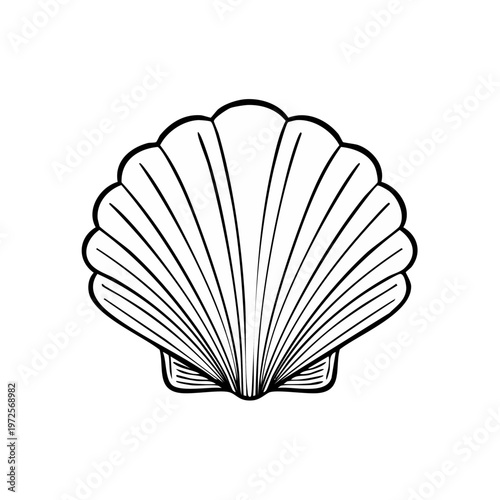 Detailed Outline Drawing of a Scallop Shell with Radial Ribs and Pleats