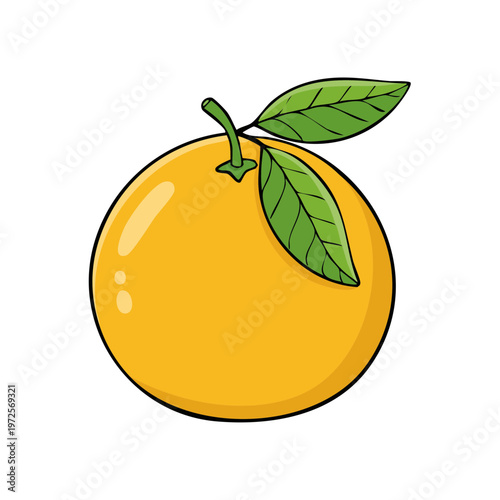 Bright Yellow Orange Fruit with Green Leaves and Stalk