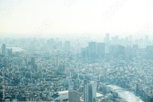 Aerial View Of Tokyo