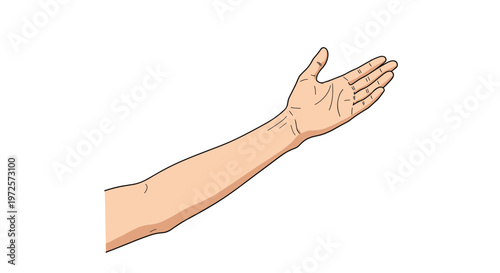 Open human hand with palm facing upwards in a gesture of giving, receiving, or offering support is shown against a plain white background.