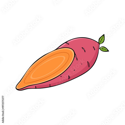 Hand drawn illustration of a vibrant sweet potato cut in half revealing its orange flesh and green leaves