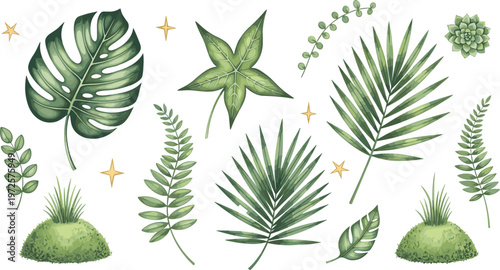 Set of Tropical and Green Leaves, Ferns, and Plants with Stars and Succulent Elements in a Fresh Botanical Style"