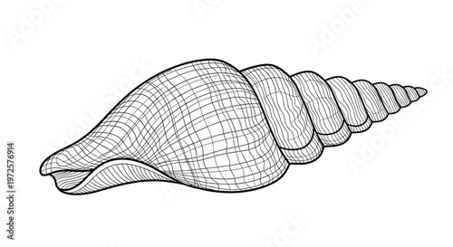 Finely detailed line drawing of an elongated spiral seashell with intricate crosshatch patterns and ridges for sea life art.